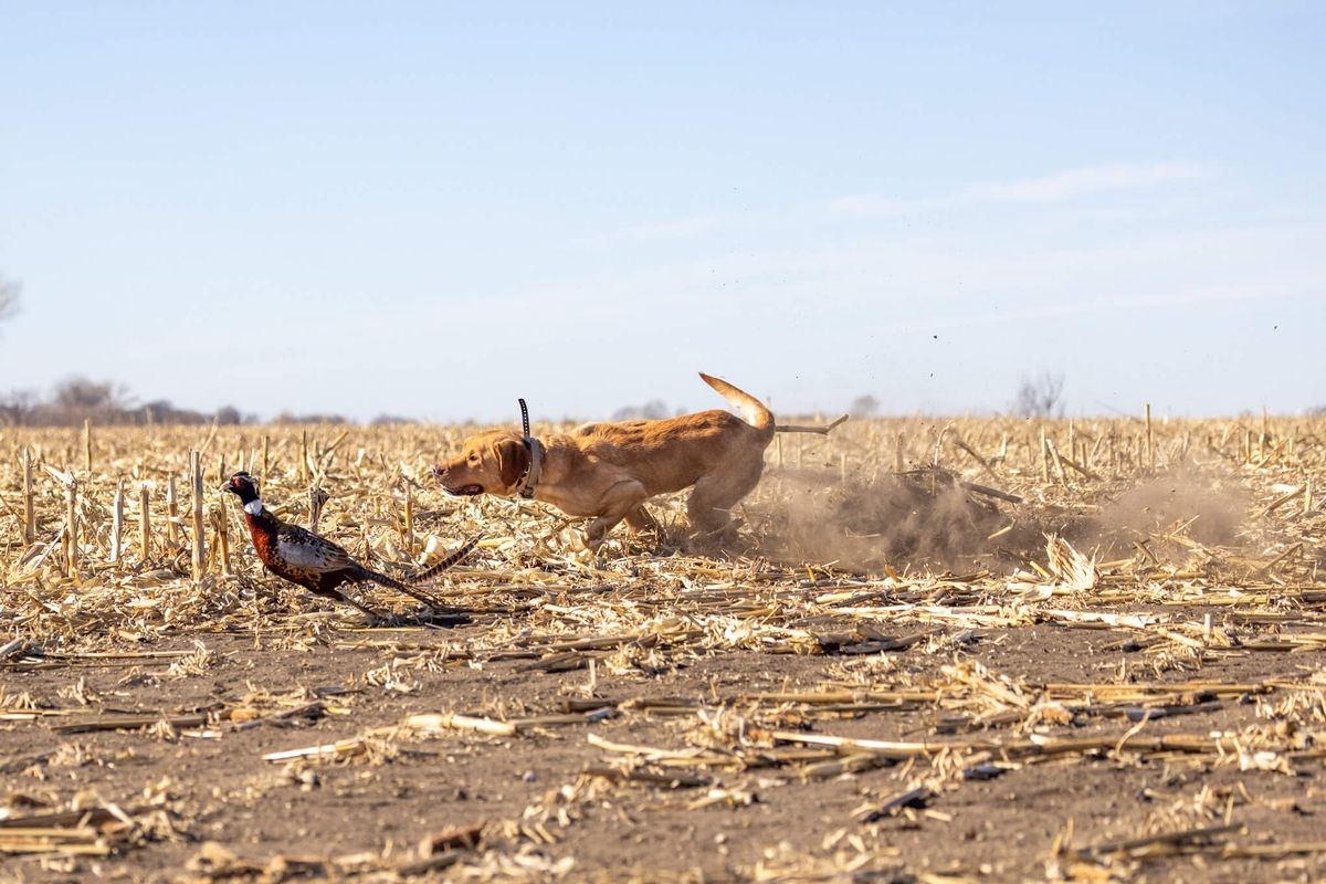 Welcome Page Welcome Page